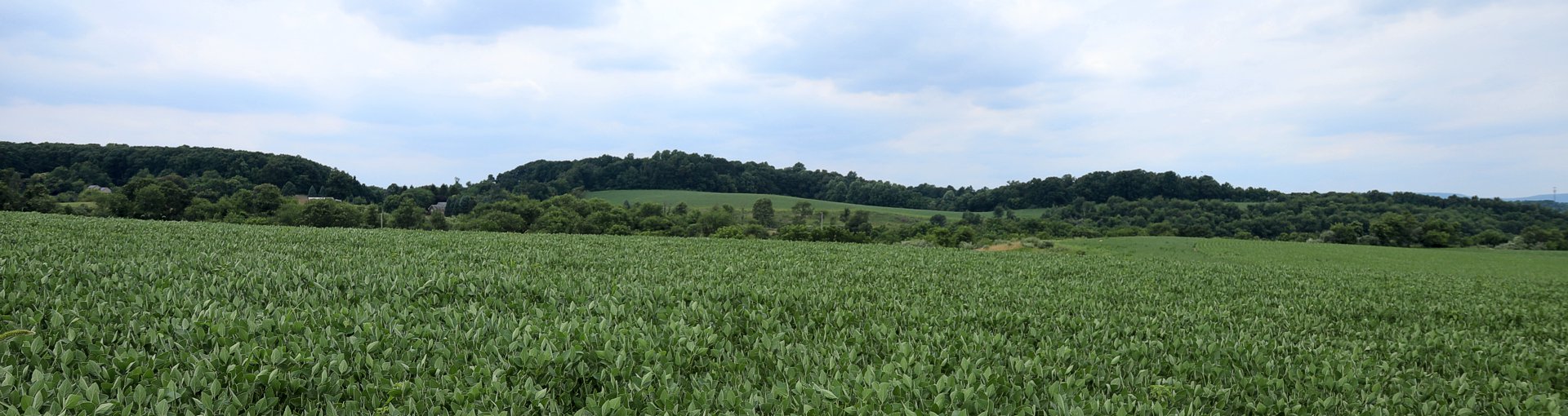 Lowhill Township